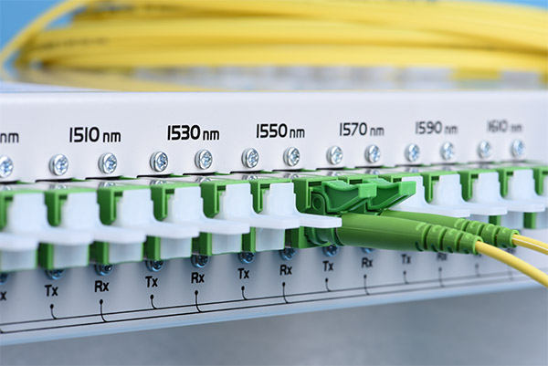 WDM Solution